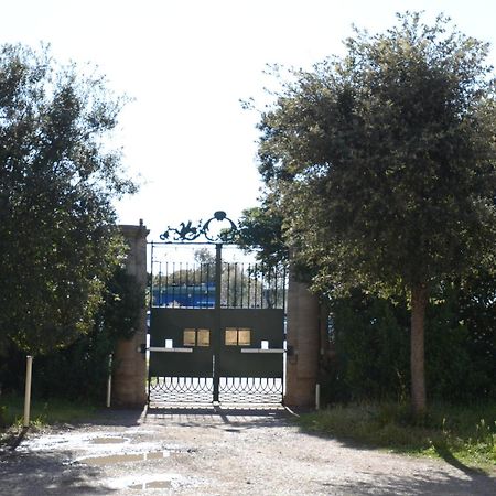 Villa Anselmi - Arteindiretta リヴォルノ エクステリア 写真